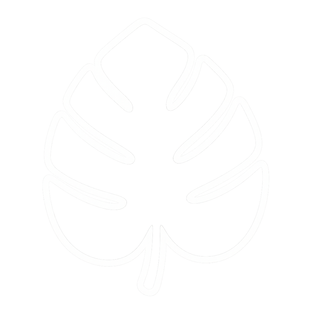 Foglia di Monstera Elegante