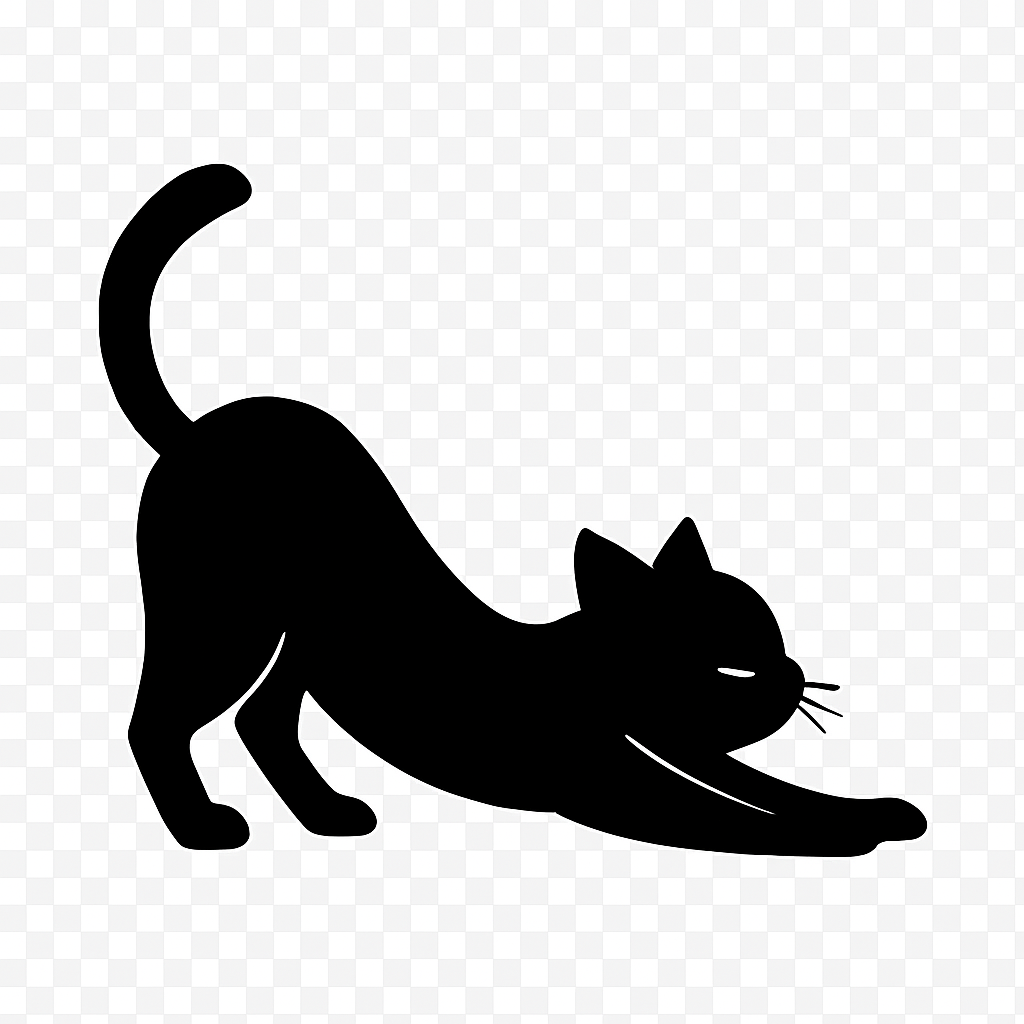 Gatto che si allunga